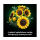 LEGO BOTANICALS 11502 Bukiet słoneczników - 1489545 - zdjęcie 7